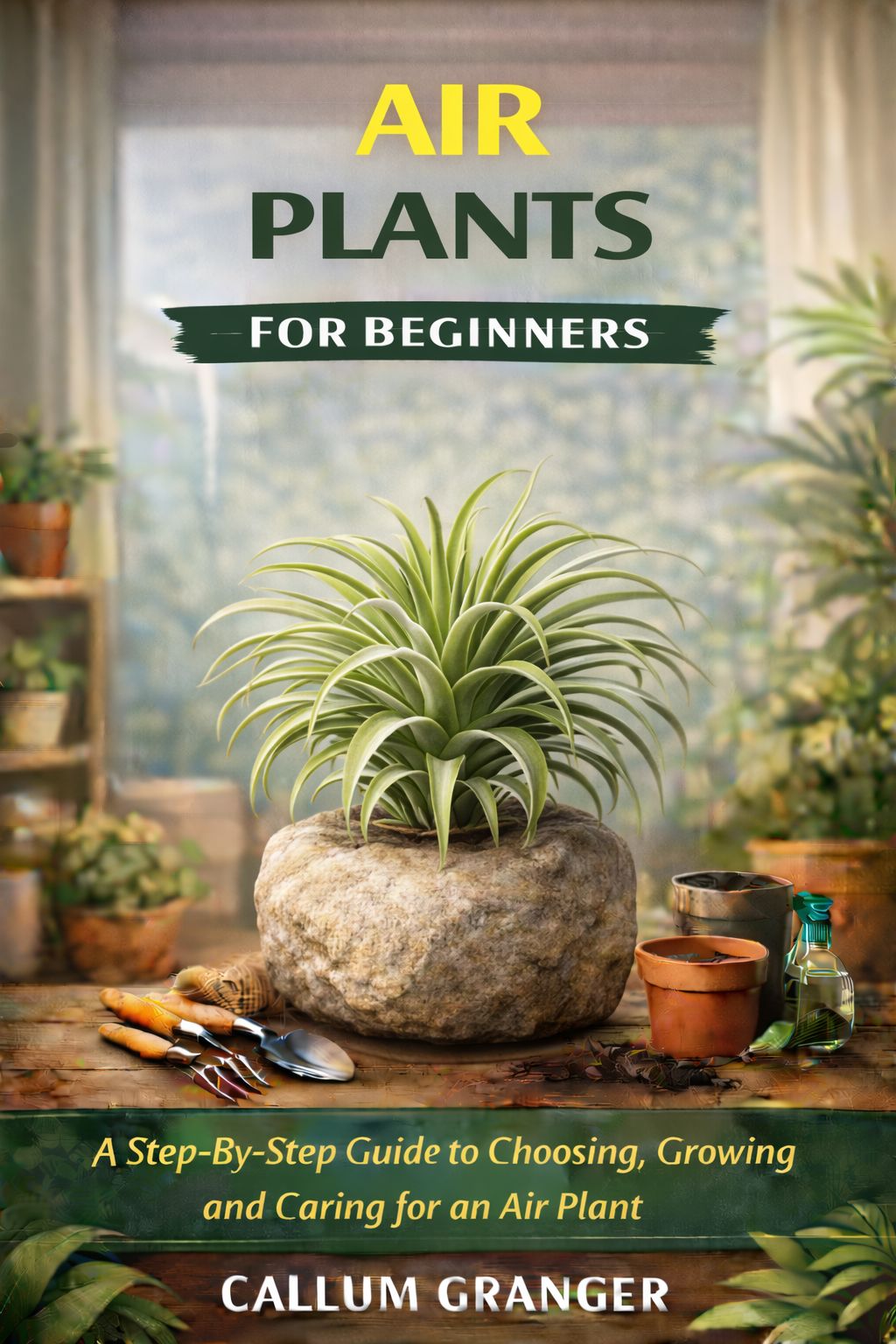 A Step-By-Step Guide to Choosing, Growing and Caring for a Air Plant.