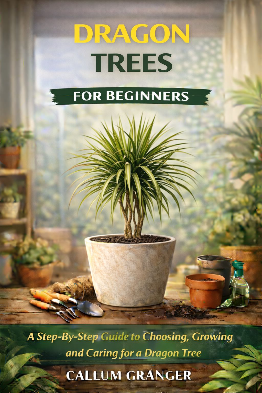 A Step-By-Step Guide to Choosing, Growing and Caring for a Dragon Tree.