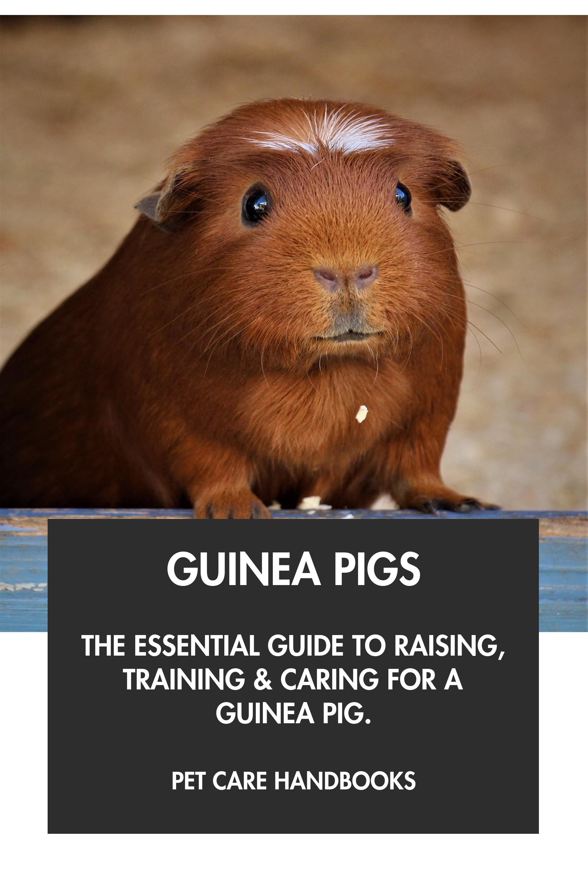 Guinea Pigs by Pet Care Handbooks