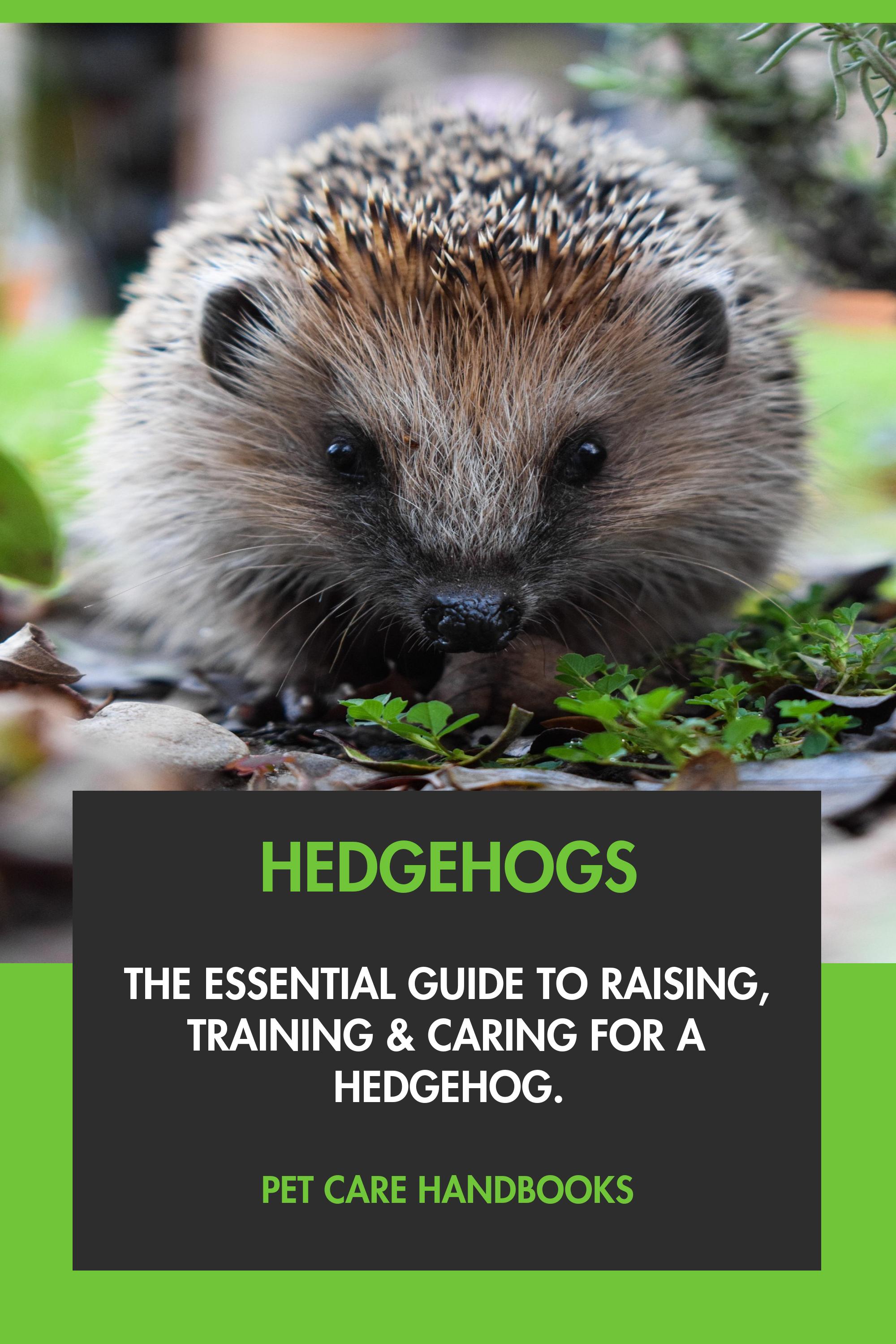 Hedgehogs by Pet Care Handbooks