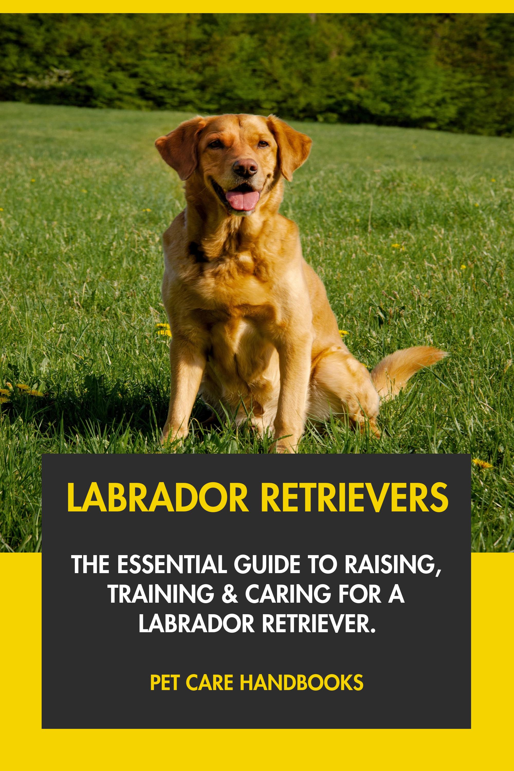 Labrador Retrievers The Essential Guide to Raising, Training & Caring for A Labrador Retriever.