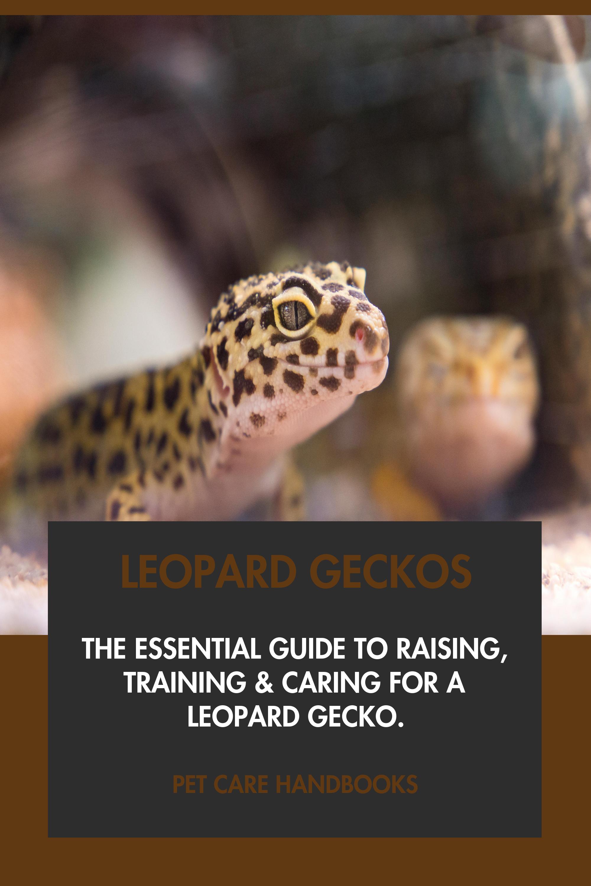 Leopard Geckos by Pet Care Handbooks