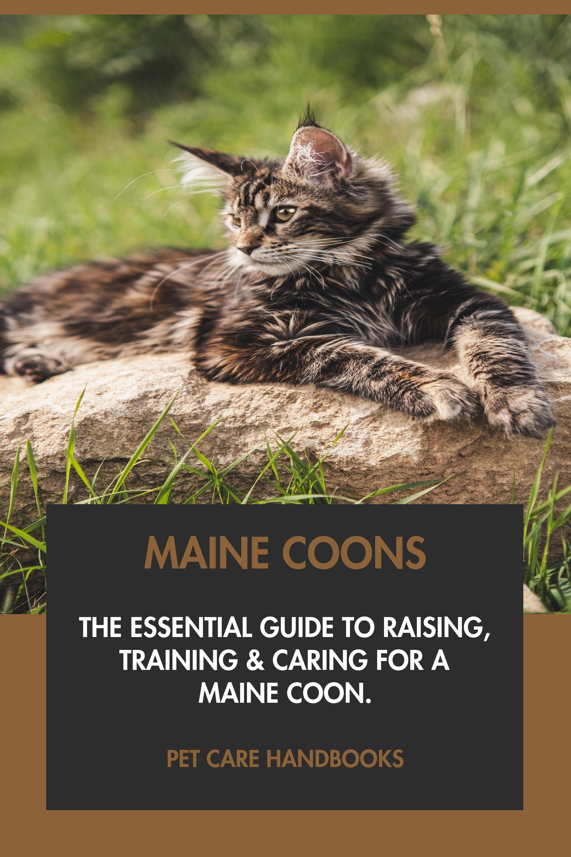 Maine Coons by Pet Care Handbooks