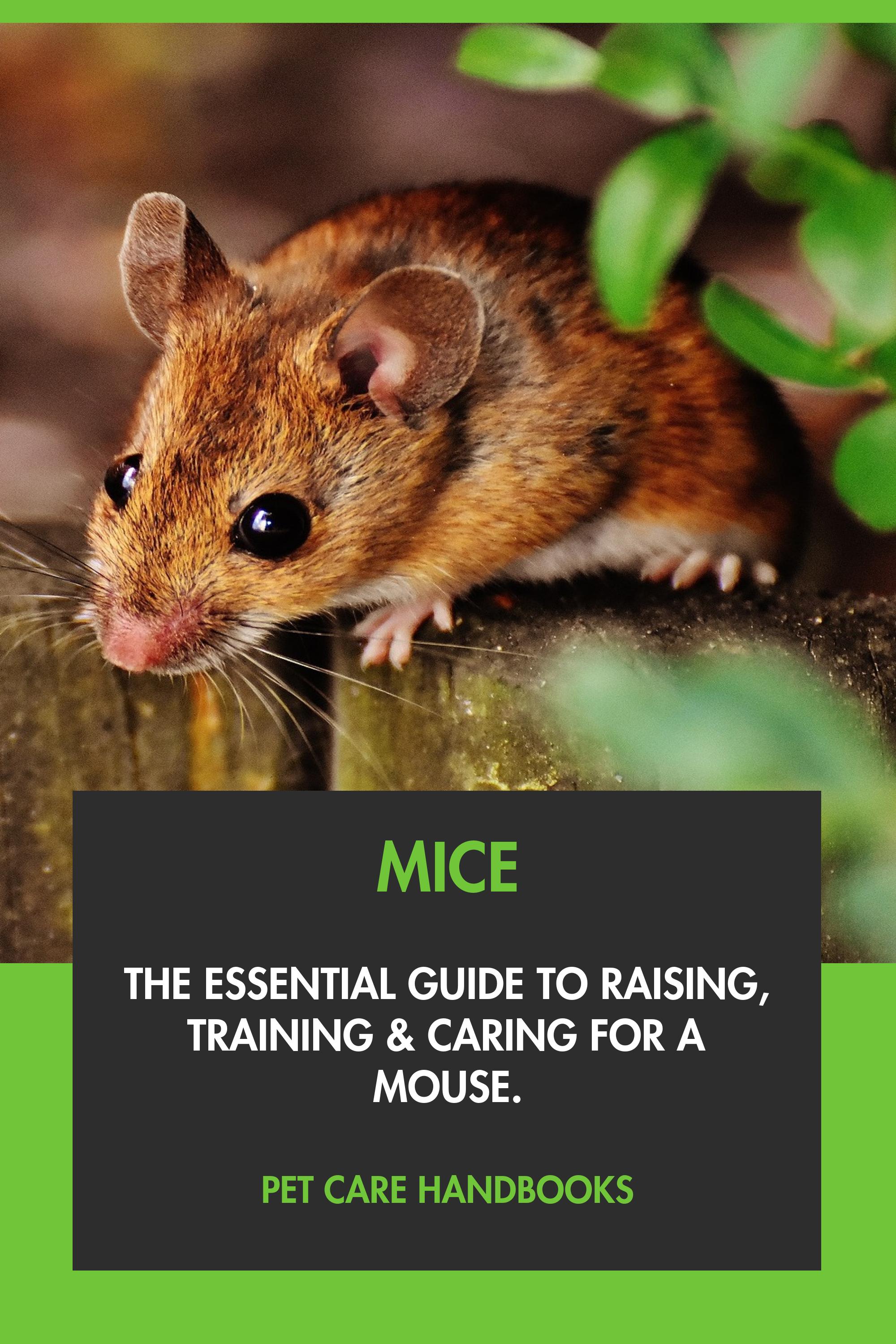 Mice by Pet Care Handbooks