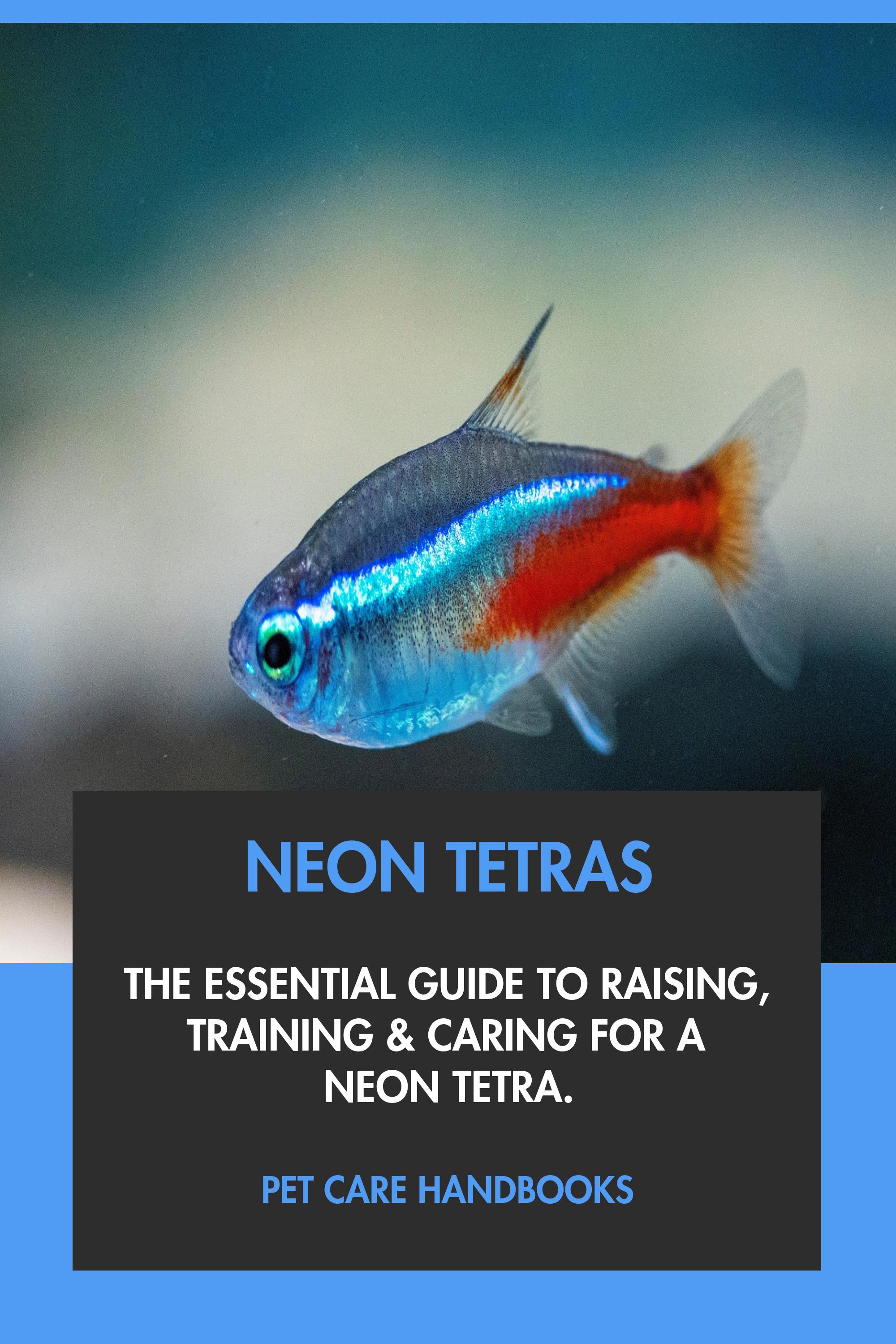 Neon Tetras by Pet Care Handbooks