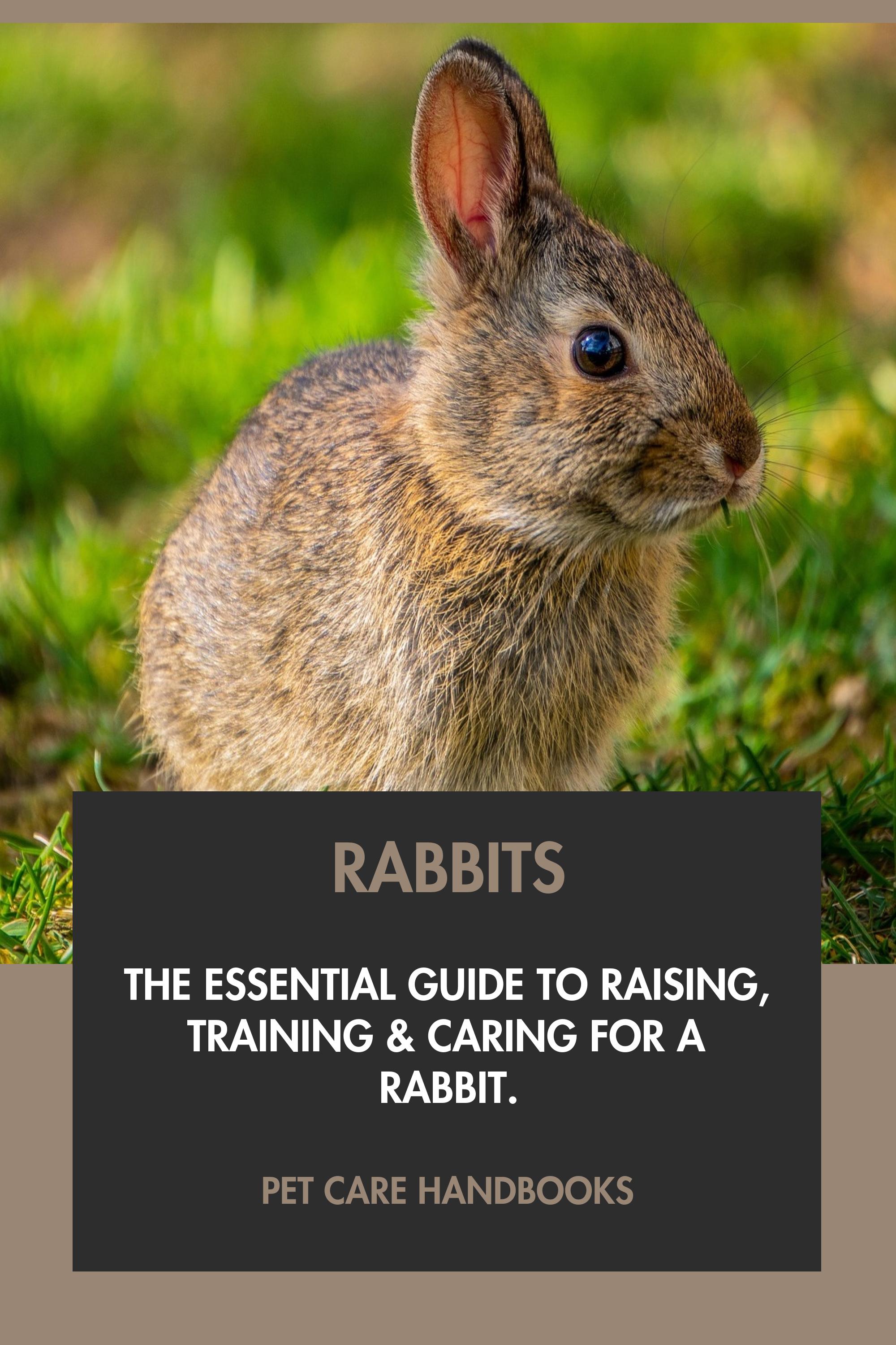 Rabbits by Pet Care Handbooks