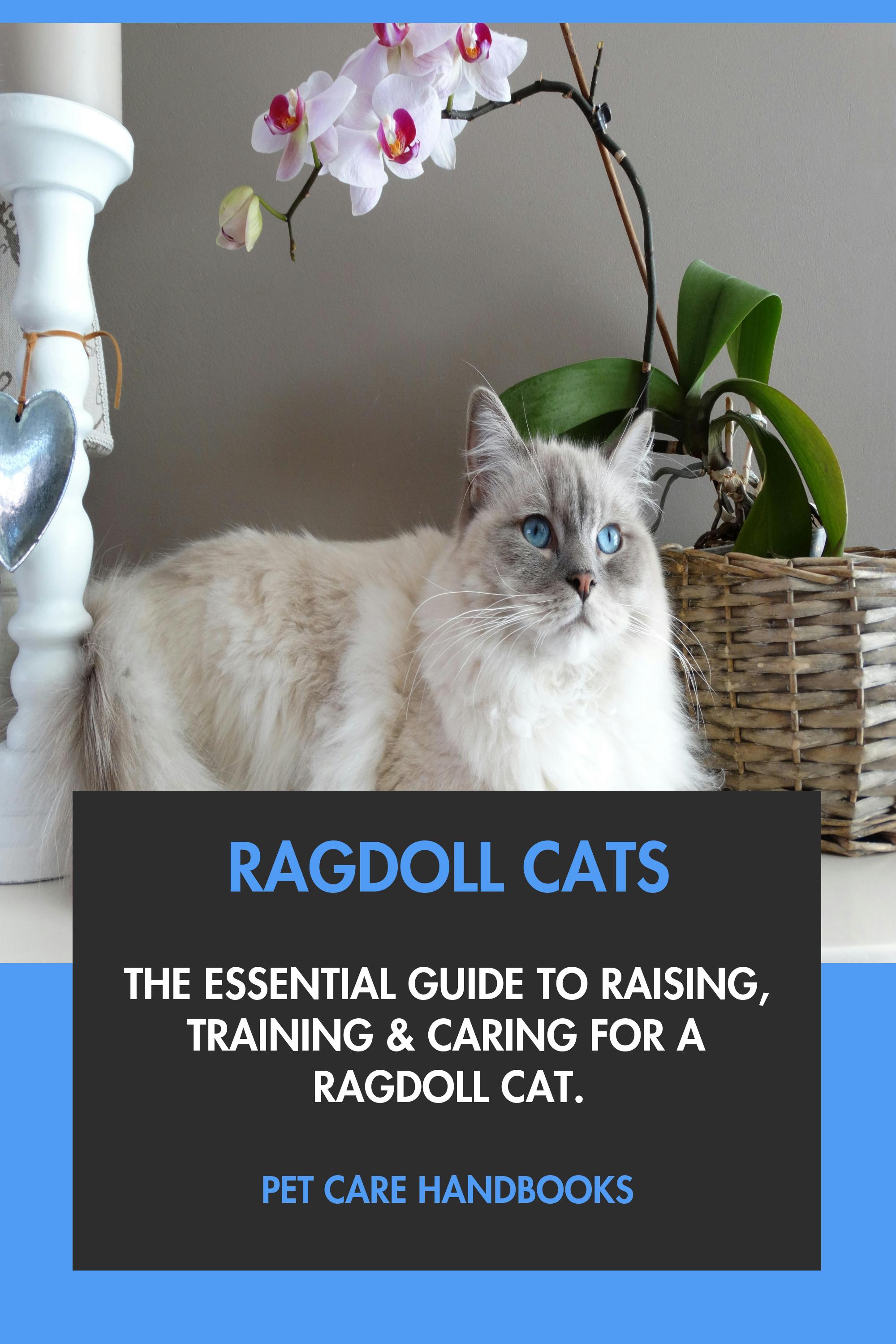 Ragdoll Cats by Pet Care Handbooks