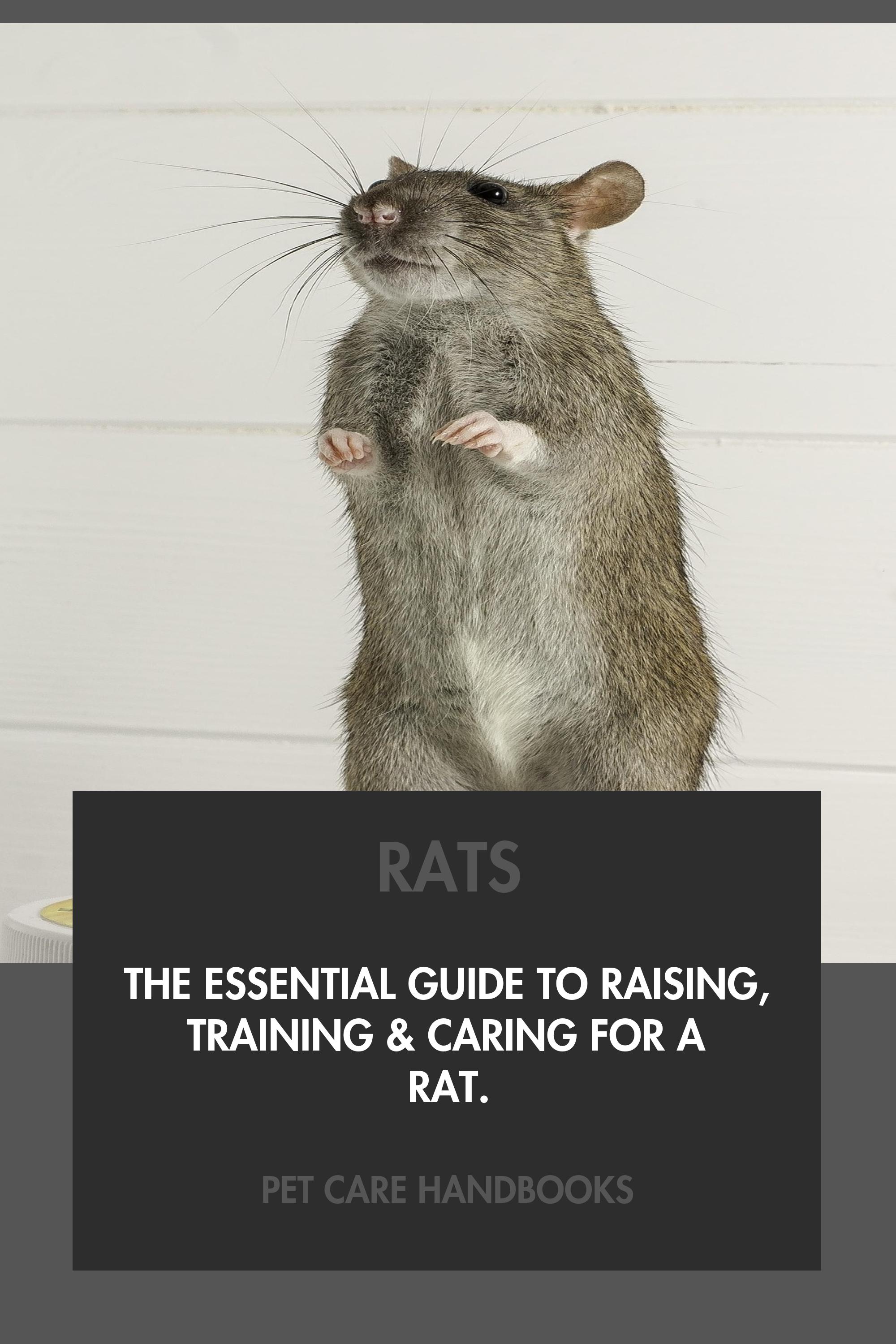 Rats by Pet Care Handbooks