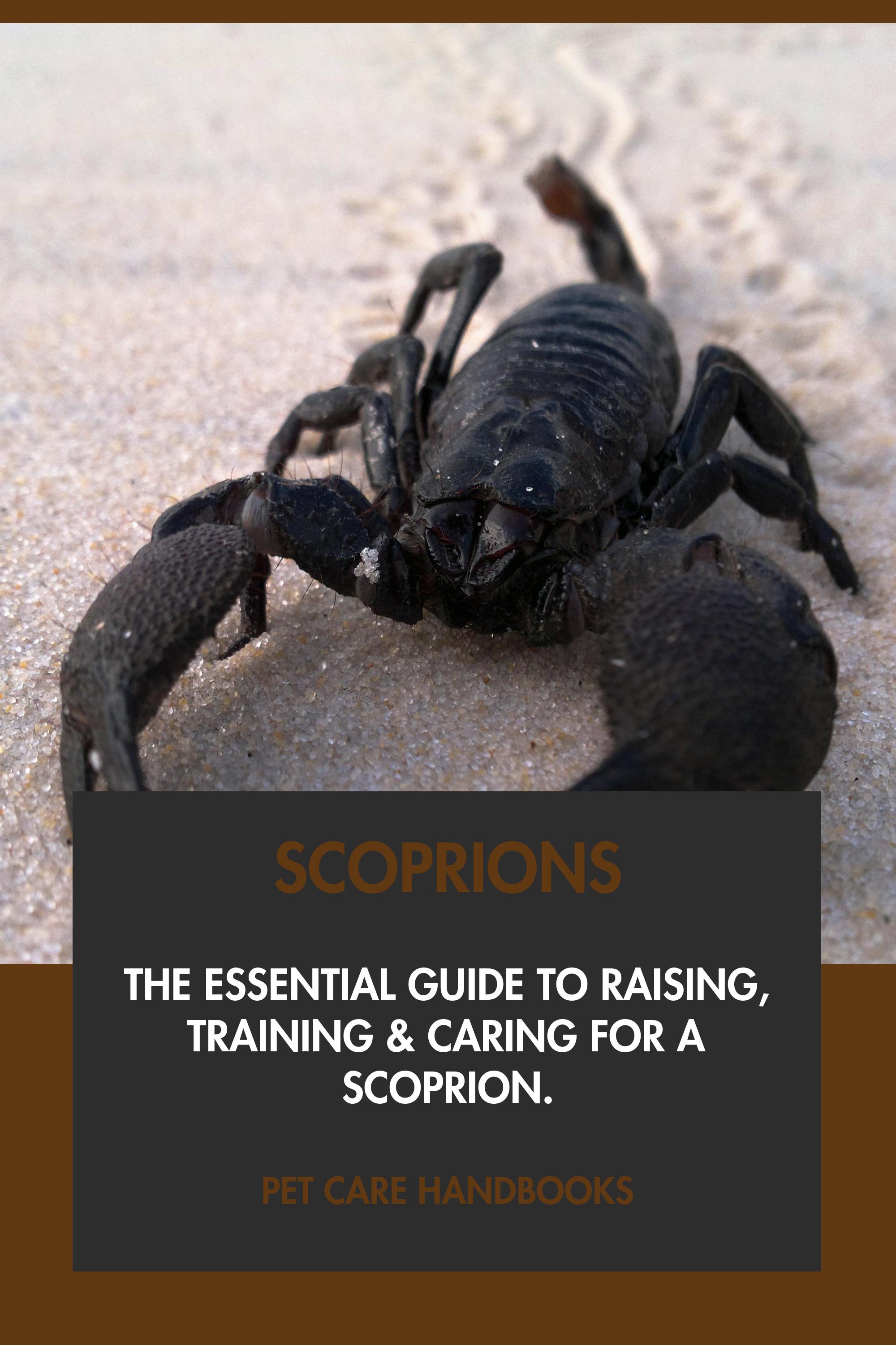 Scorpions by Pet Care Handbooks
