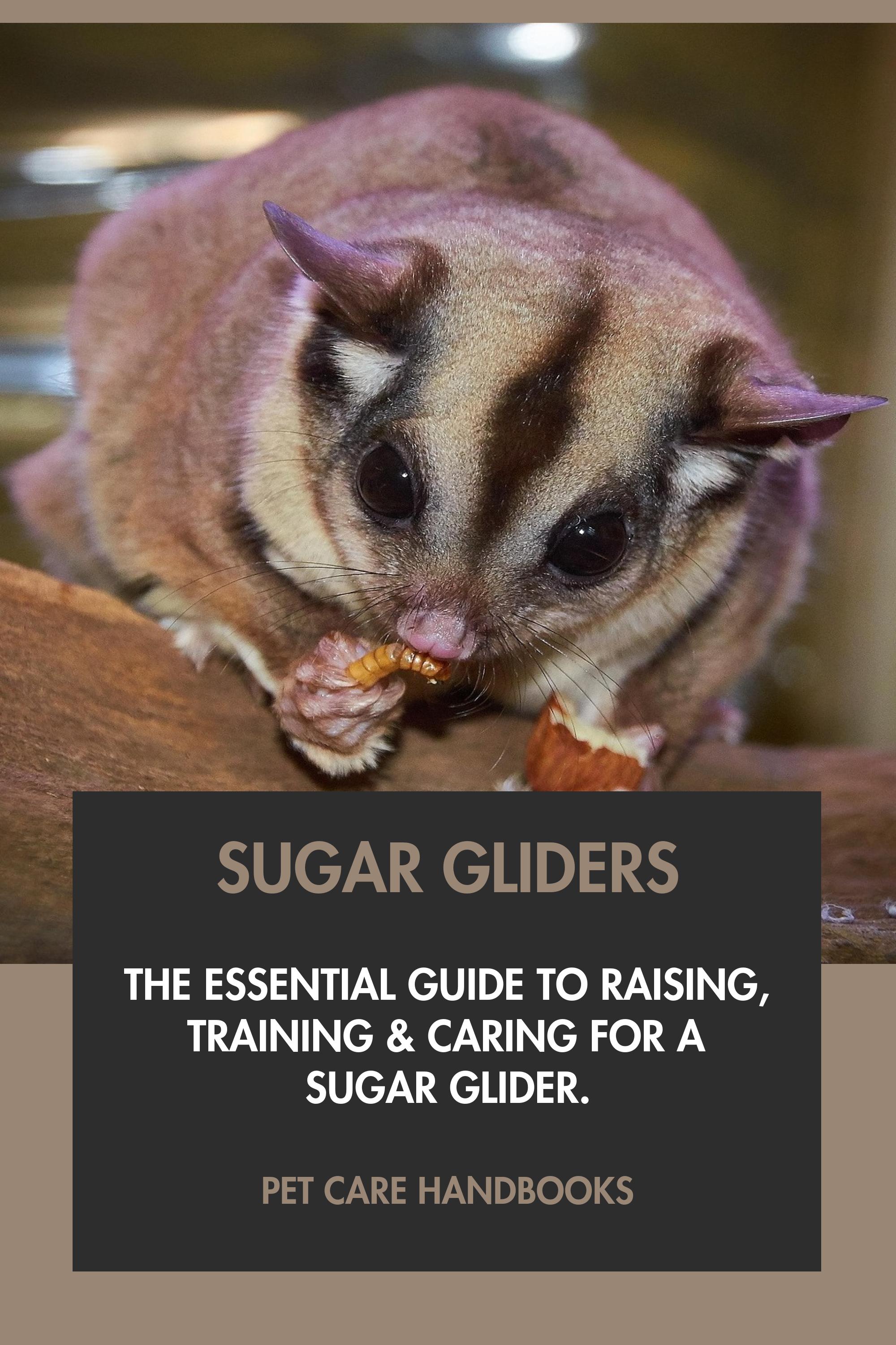 Sugar Gliders by Pet Care Handbooks