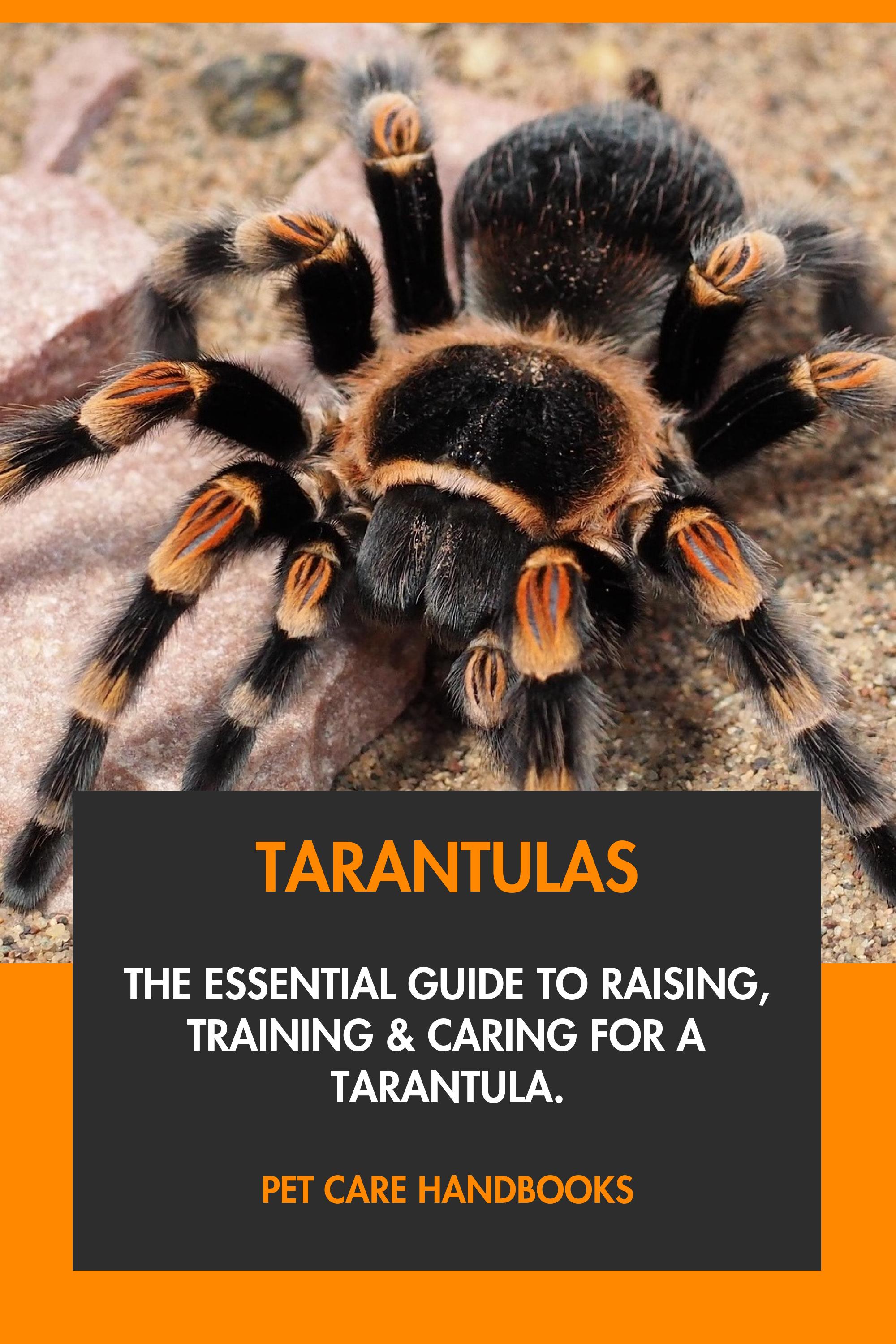 Tarantulas by Pet Care Handbooks